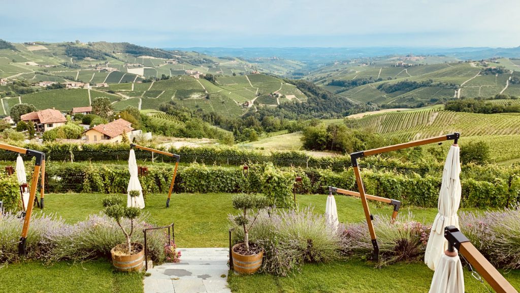 Panoramisch uitzicht over de heuvels met wijnranken en hazelnootbomen